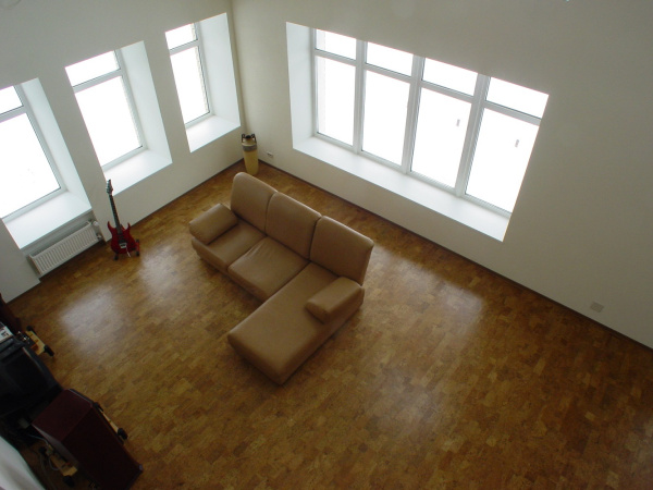 Пробковое покрытие CORKART LITE 386v NN (CM3 386v NN)